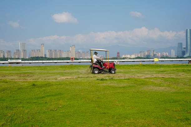 Sanitation workers are mowing the lawn with a lawnmower