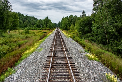 A scenic view of a railroad in a forest of green fir trees in Alaska