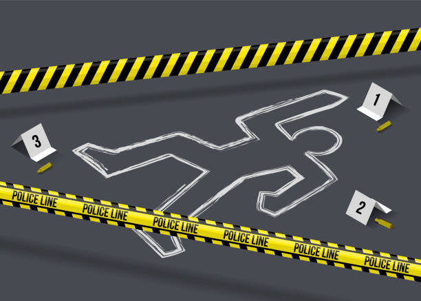 ilustrações de stock, clip art, desenhos animados e ícones de police crime scene. investigation proofs. death body. victim with chalk outline. gun bullets with detective marks. accident inspection. ribbon boundary. vector current illustration - crime scene chalk outline crime murder