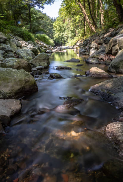 Amezketa river near Alegia village Basque Country Northern Spain Europe