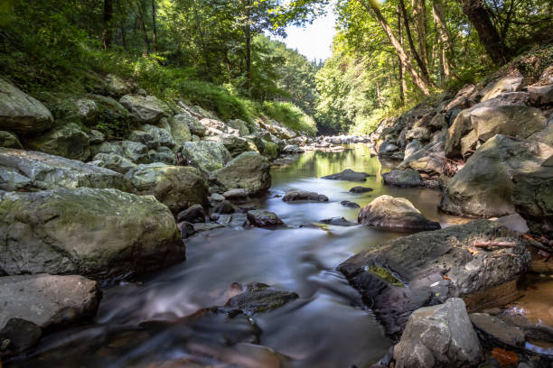 istock Amezketa river Basque Country Spain 1731060441