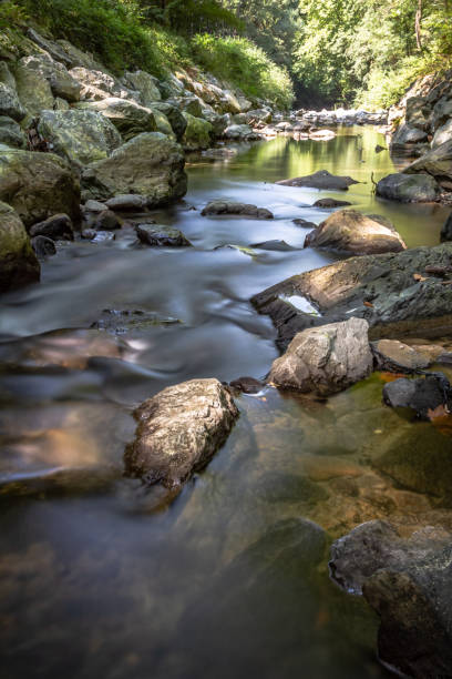 istock Amezketa river Basque Country Spain 1731060444