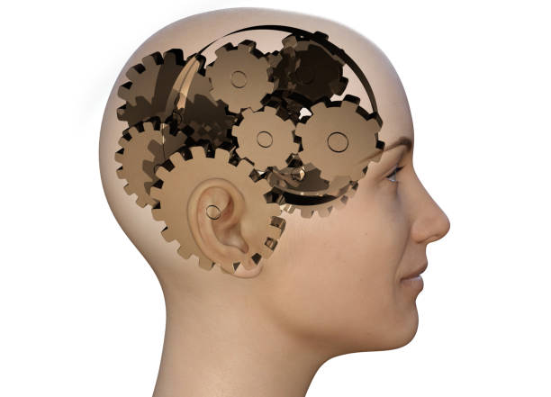 A woman head work by turning the wheel system in his brain and generating ideas. The complicated way of thinking of women. / You can see the animation movie of this image from my iStock video portfolio. Video number: 1719326472