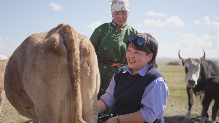 Asian Chinese woman experiencing milking cow with local Mongolian lady