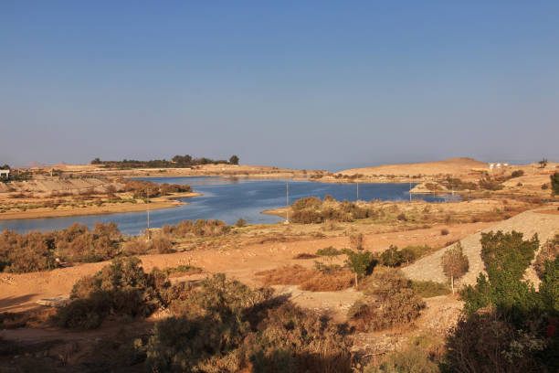 le point de vue sur abou simbel, egypte, afrique - lake nasser photos et images de collection