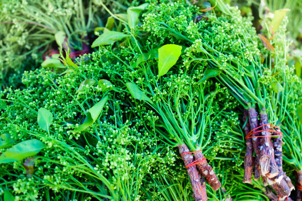 istock Fresh neem vegetables on the market stall 1731112443