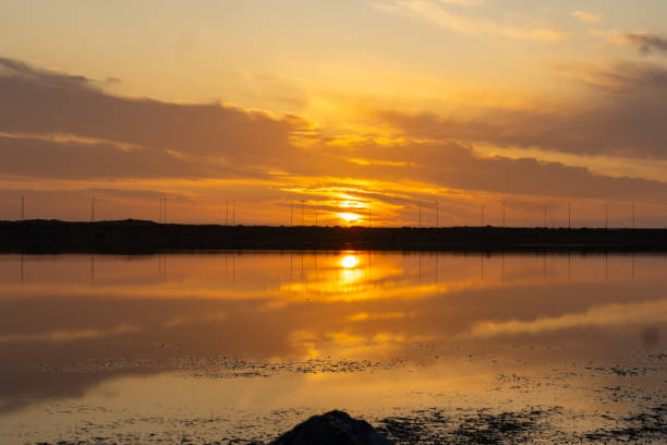 istock Beautiful sunset or sunrise reflection at pond or lake 1731124405