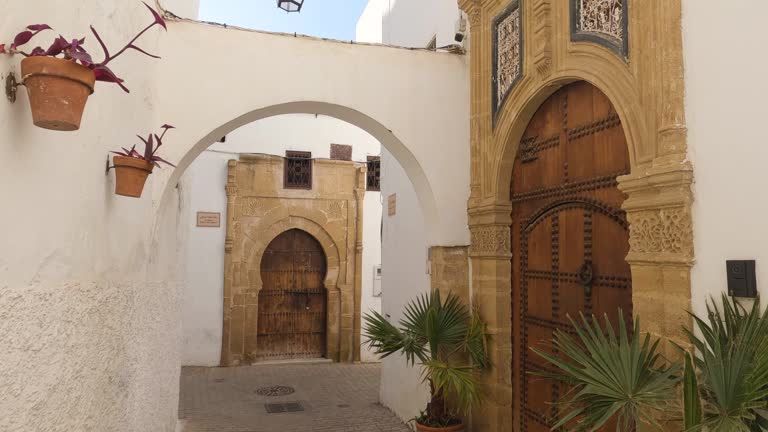 Rabat's Medina: Enchanting alley with ornate doors and vibrant potted plants