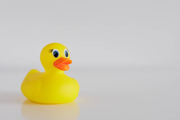 istock Yellow funny bath duck on white table 1731139323