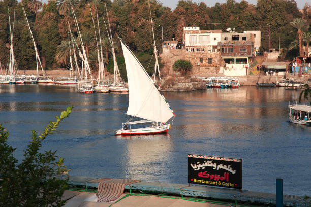 a felucca no rio nilo em aswan, egito - lake nasser - fotografias e filmes do acervo