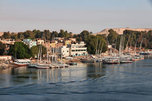 la vue sur le nil à assouan, en égypte - lake nasser photos et images de collection