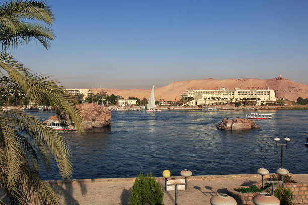 a vista no rio nilo em aswan, egito - lake nasser - fotografias e filmes do acervo