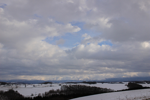 Winter hills and oak pine forest