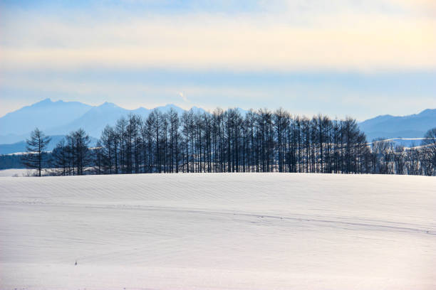 istock Winter hills and larch forest with snowy mountains 1731157710