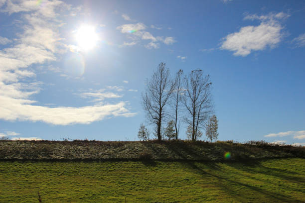 Sunny park