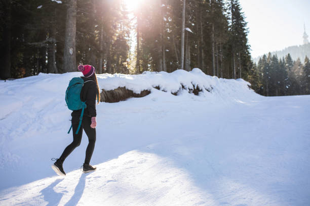 istock Enjoying the winter sun 1731162073