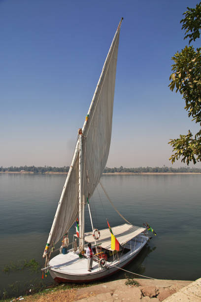 Aswan, Egypt; January 18, 2024: Experience a traditional Felucca on the Nile in Aswan, Egypt. This iconic Egyptian sailboat offers a unique perspective of the Nile River.