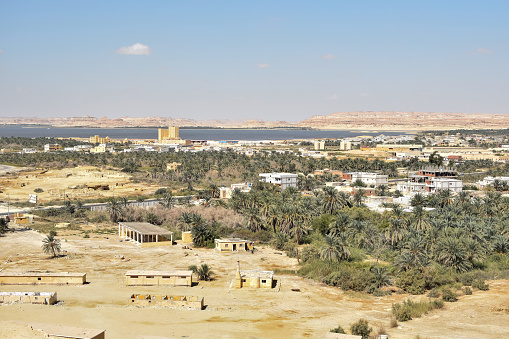 lanscape view of siwa egypt with date palm groves, oasis and vast desert from above the mountain of the dead at sunny day