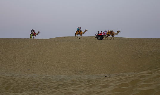 Jaisalmer, India - Nov 8, 2017. Riding camel on Thar Desert in Jaisalmer, India. Thar Desert is a large arid region in the northwestern part of the Indian.