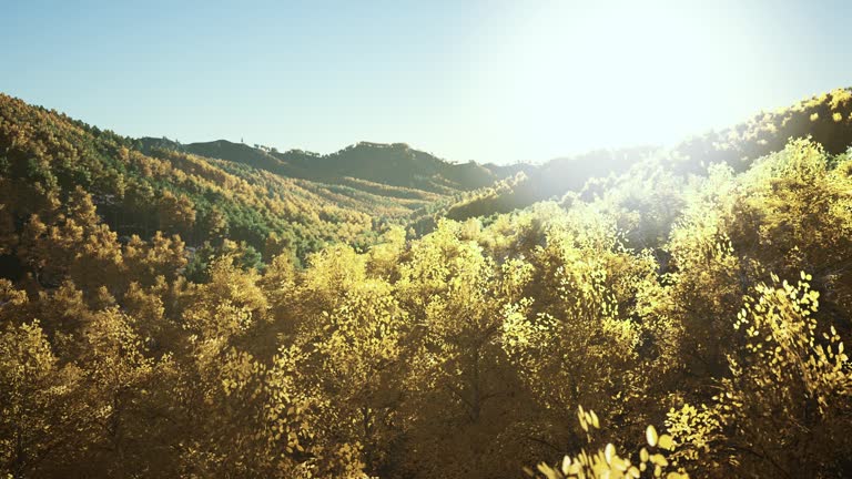 Stunning landscape during fall for September