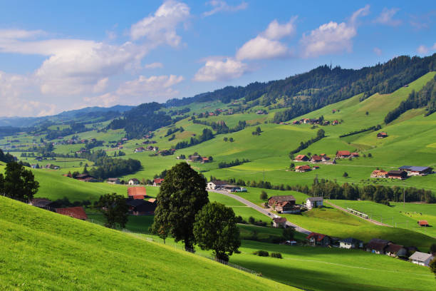 istock Swiss farms 1731252311