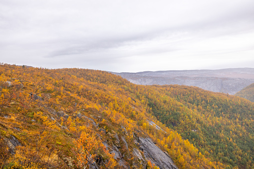 Rago national park in autumn, beautiful seasonal colours.