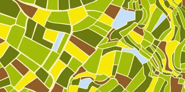 Vector illustration of aerial top view Land with green fields sown in countryside in spring day Land with cultivated plants of rice fields.Vector background perfect for wallpaper or design elements