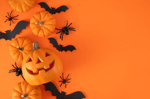 Halloween decorations, pumpkins and bats on orange background with copy space