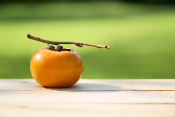 Astringent persimmon with twigs