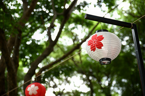 Japanese style white lantern with red flower on blurry green natural background. with space for content.