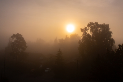 As the early morning sun ventures through the soft veil of fall fog, its gentle light begins to touch the world below, captured from the aerial perspective of a drone. The trees stand as dark silhouettes, their outlines a stark contrast against the ethereal backdrop of fog and light. The fog, with its transient nature, adds a layer of mystery, while the silhouetted trees add a sense of enduring stillness. This scene encapsulates a tranquil and mystic moment where nature's elements of light, fog, and silhouette come together to create a beautifully serene and somewhat surreal tableau.