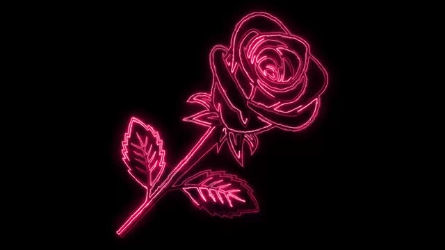 480+ Neon Rose Stock Videos and Royalty-Free Footage - iStock