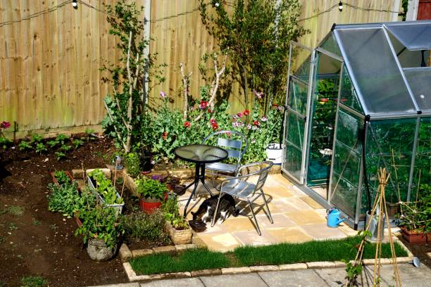 elevated view of a new modern polycarbonate hybrid greenhouse with a table and chairs to the left and a cat drinking water, uk. - plastic poppy imagens e fotografias de stock