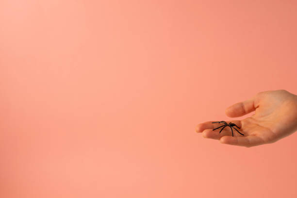 istock Pink background with a hand with a spider 1731395758