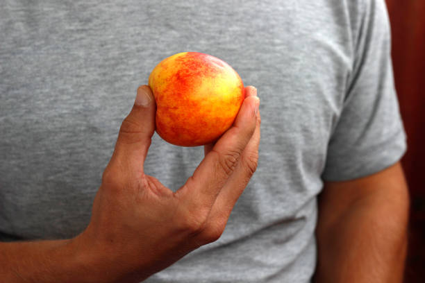 istock peach in hand, man holding peach in hand 1731400426