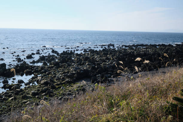 istock Landscape of rope-shaped basalt rocks 1731410371