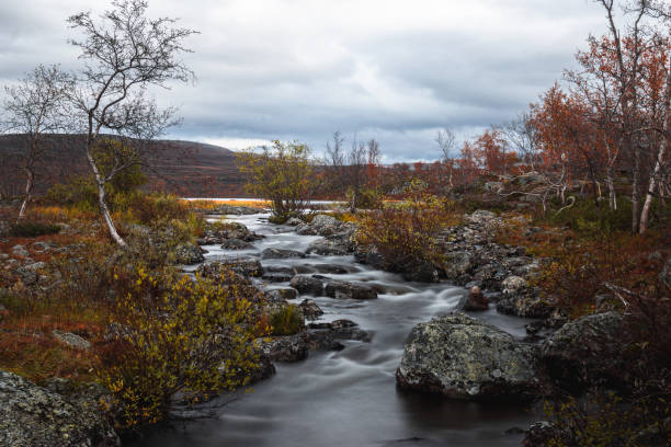 herbstlandschaft mit wasserfall in finnland, lappland - saana stock-fotos und bilder