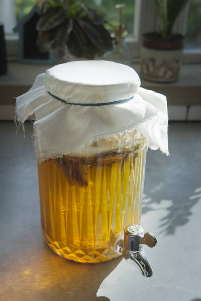 istock Jar of Kombucha fermenting on a kitchen worktop 1731414838