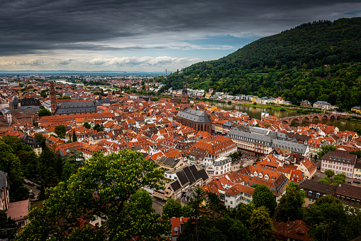 The view of Heidelberg and a green hillside covered with lush trees. Germany