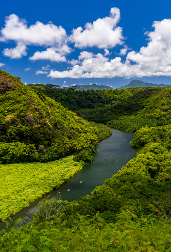 Kayakers on the famous Wailua river which flows near Secret Grotto on the east coast of the Hawaiian island of Kauai