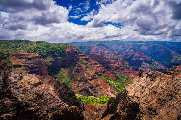 istock Dramatic sun lighting on Waimea Canyon on Kauai 1731440265