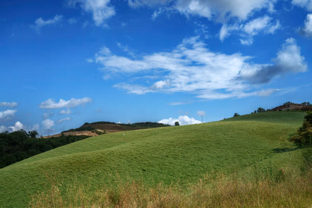 istock Rural landscape in Val d Orcia, Tuscany, at summer 1731446582