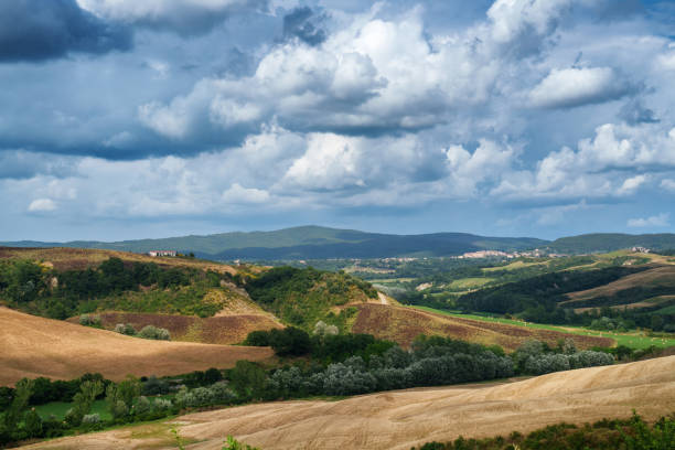 istock Rural landscape in Val d Orcia, Tuscany, at summer 1731447176