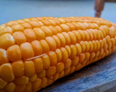 Corn close up photo