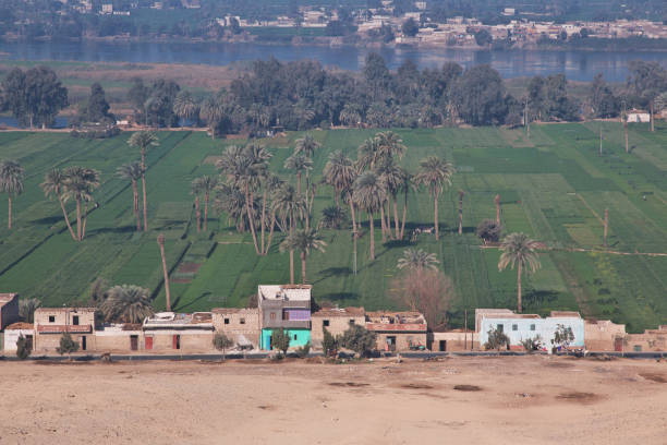 ciudad de el minya en el sahara a orillas del nilo, egipto, áfrica - amarna fotografías e imágenes de stock