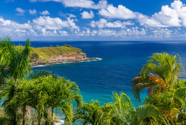 Rocky and isolated nature reserve of Mokolea Point near Kilauea on Hawaiian island of Kauai