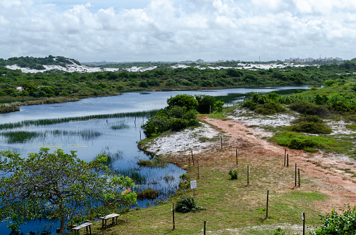 Salvador, Bahia, Brazil - June 7, 2015: View from the top of the dune vegetation and river in Parque das Dunas in the city of Salvador, Bahia.