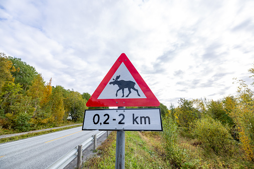 Moose crossing warning sign in Norway