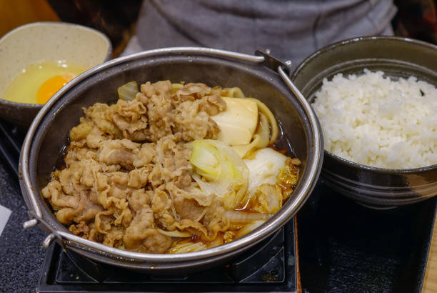 gyudon-schüssel mit reis und rindfleisch - kyoto protokoll stock-fotos und bilder