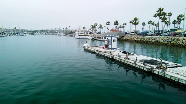 drone view of oceanside harbor bait receiver